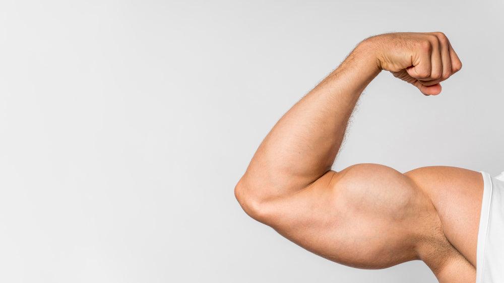 Top 11 Long Head Bicep Exercises - Fitness Health 