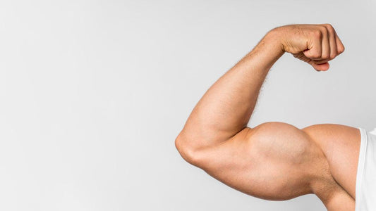 Top 11 Long Head Bicep Exercises - Fitness Health 