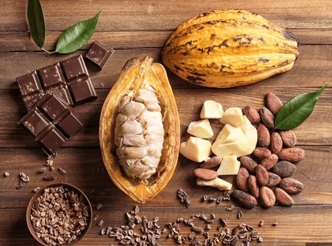 Unveiling the Secrets of Cocoa Powder: Benefits, Uses, and Recipes. - Fitness Health 