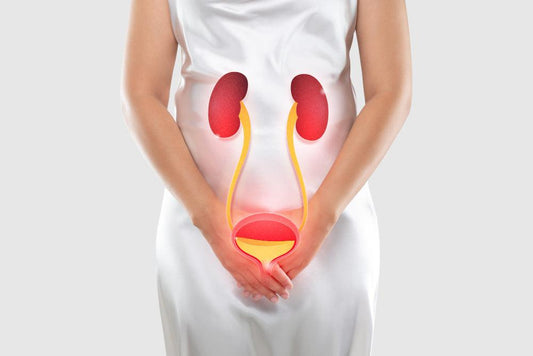 Urinary Tract Infection or UTI what are the causes and prevention - Fitness Health 