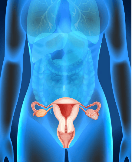 What are PCOS symptoms and treatment? - Fitness Health 