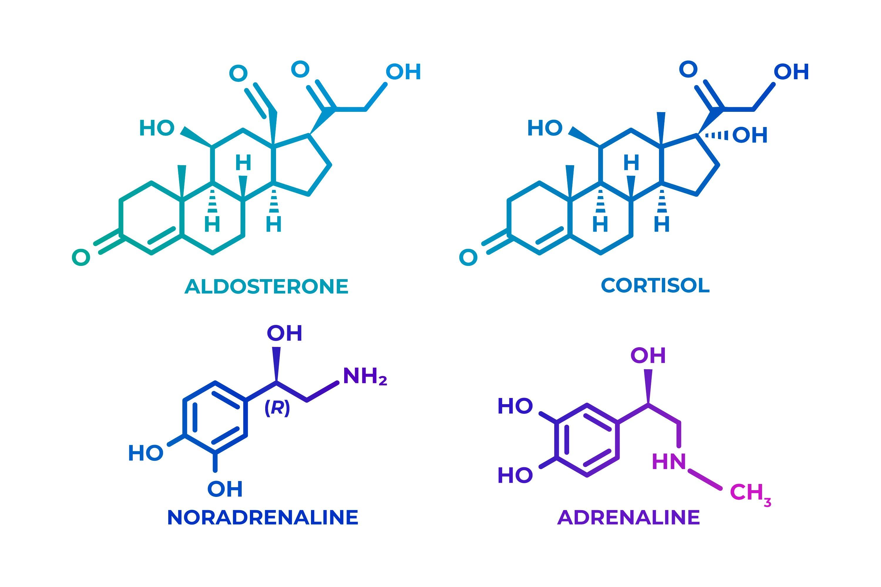 What does glutamine do to your body? – Fitness Health