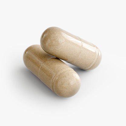 Sleep Support Formula - Valerian + Chamomile + GABA - Natural Rest Blend *