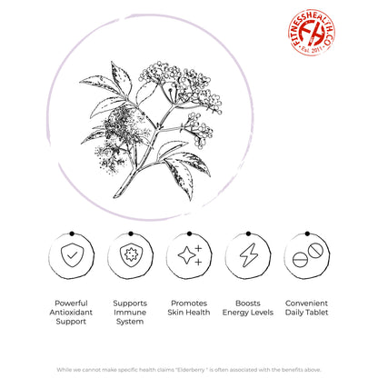 Elderberry Extract Tablets 1000mg High Strength