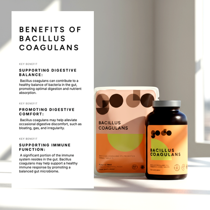 Bacillus Coagulans Probiotic Tablets - Natural Probiotic Formula - UK Made Vegan