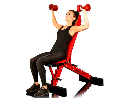 PRO Bench - Avenger Gym Series - Fitness Health 