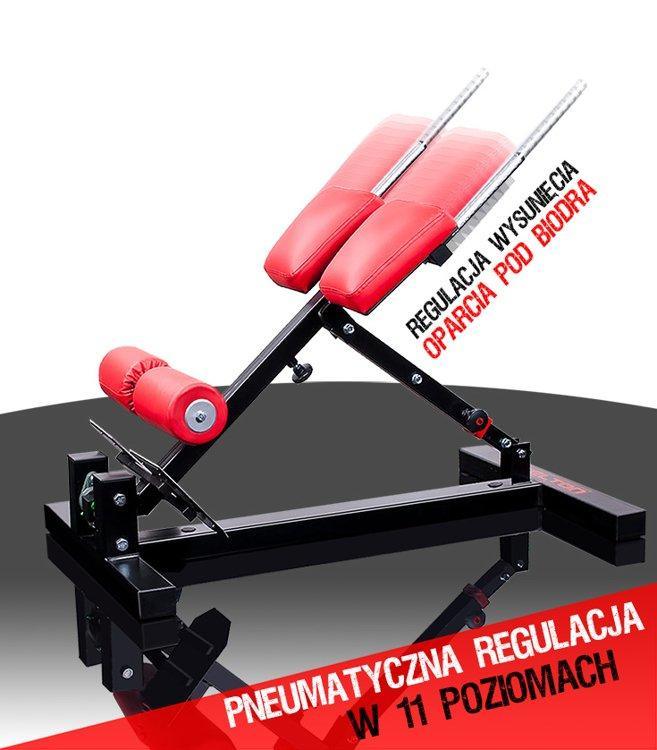 Reverse Hyper Extension Bench Adjustable - Fitness Health 